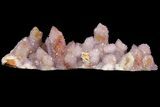Cactus Quartz (Amethyst) Crystal Cluster - South Africa #94327-3